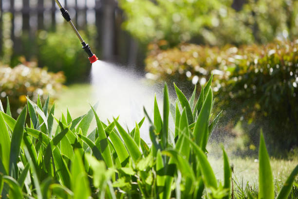 24/7 Emergency Mosquito Control experts in Palo Cedro, CA