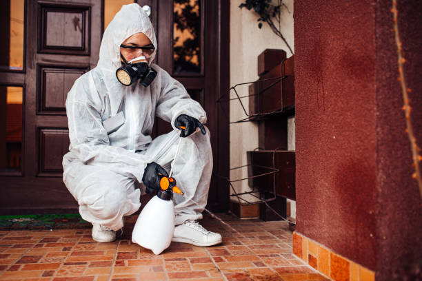 Reliable Mosquito Control contractor in Palo Cedro, CA by Show Me Pest Control